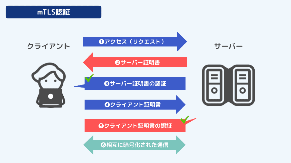 Mtls Process mTLS(相互TLS認証)って何?初心者にわかりやすく解説 | エンベーダー